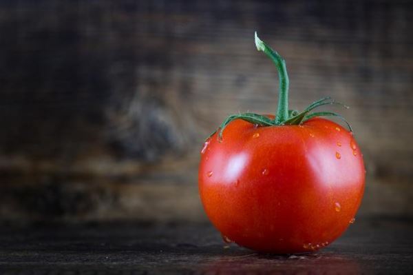 Почему помидоры часто болеют