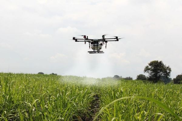 Syngenta India задействует искусственный интеллект и дроны для применения пестицидов