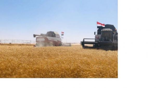 Президент Египта дал старт уборочной кампании с участием российской сельхозтехники