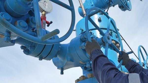 В ФРГ заявили о неготовности страны к полному эмбарго на газ из России<br />
