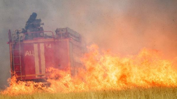 В МЧС заявили о локализации пожаров в Красноярском крае